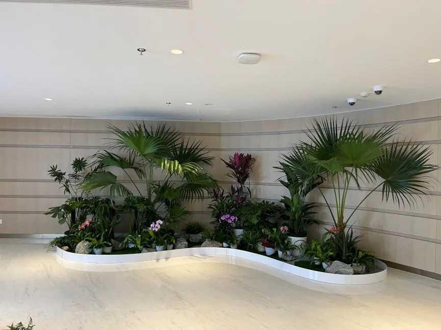 慈溪盆景租摆设计，开启绿植装饰新体验